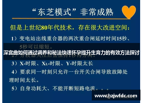 深宫曲如何通过调养和秘法快速怀孕提升生育力的有效方法探讨
